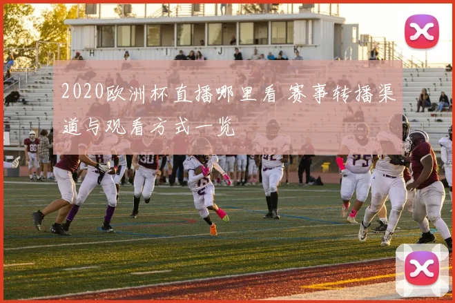 2020欧洲杯直播哪里看 赛事转播渠道与观看方式一览