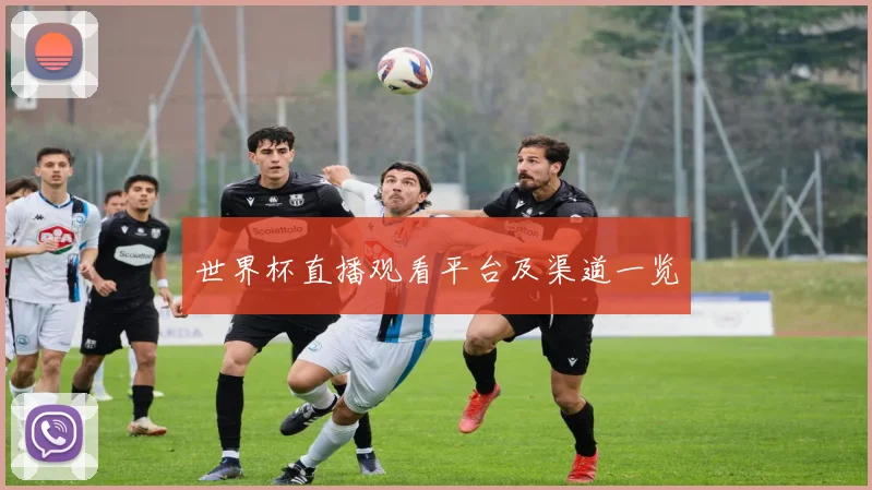 世界杯直播观看平台及渠道一览