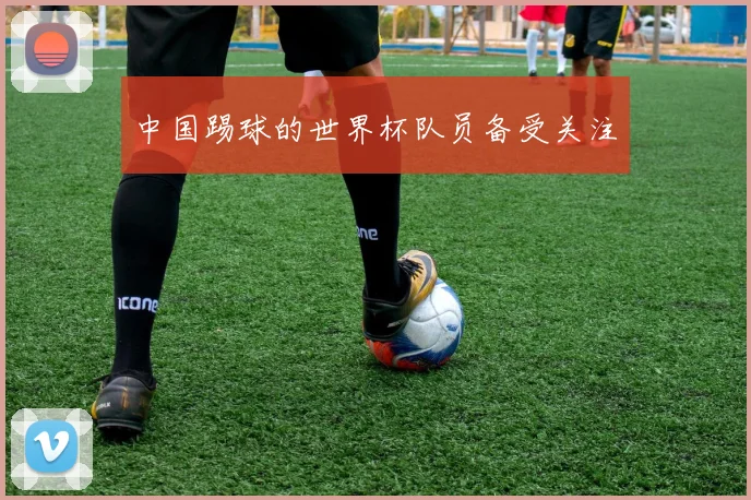 中国踢球的世界杯队员备受关注