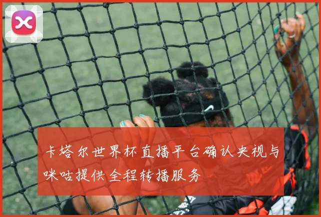 卡塔尔世界杯直播平台确认央视与咪咕提供全程转播服务