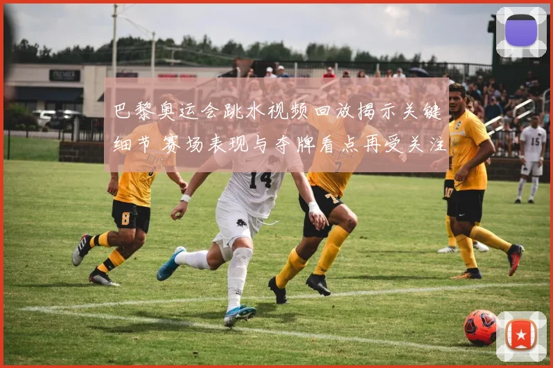 巴黎奥运会跳水视频回放揭示关键细节 赛场表现与夺牌看点再受关注